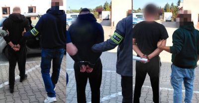 Policjanci zatrzymali trzech mężczyzn przy uprawie konopi